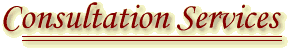 Consulting Services